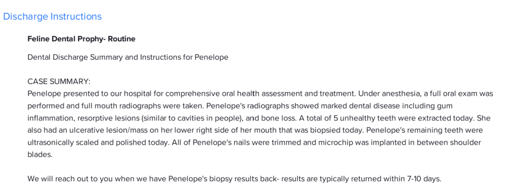 Veterinary discharge instructions for Penelope showing feline dental surgery summary - 5 tooth extractions due to marked dental disease including gum inflammation, resorptive lesions, and bone loss, with ulcerative mass biopsy