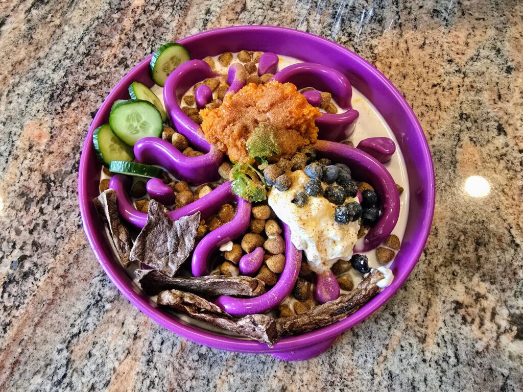 Weekly balanced dog bowl rotation showing variety and nutrition