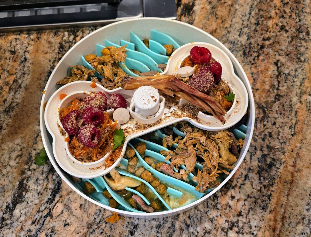 Weekly balanced dog bowl rotation showing variety and nutrition