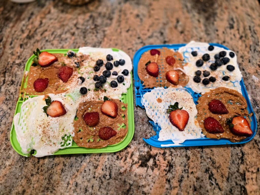 Can dogs eat blueberries homemade treat recipes