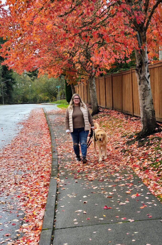 daily routines with your pet during a calm morning walk