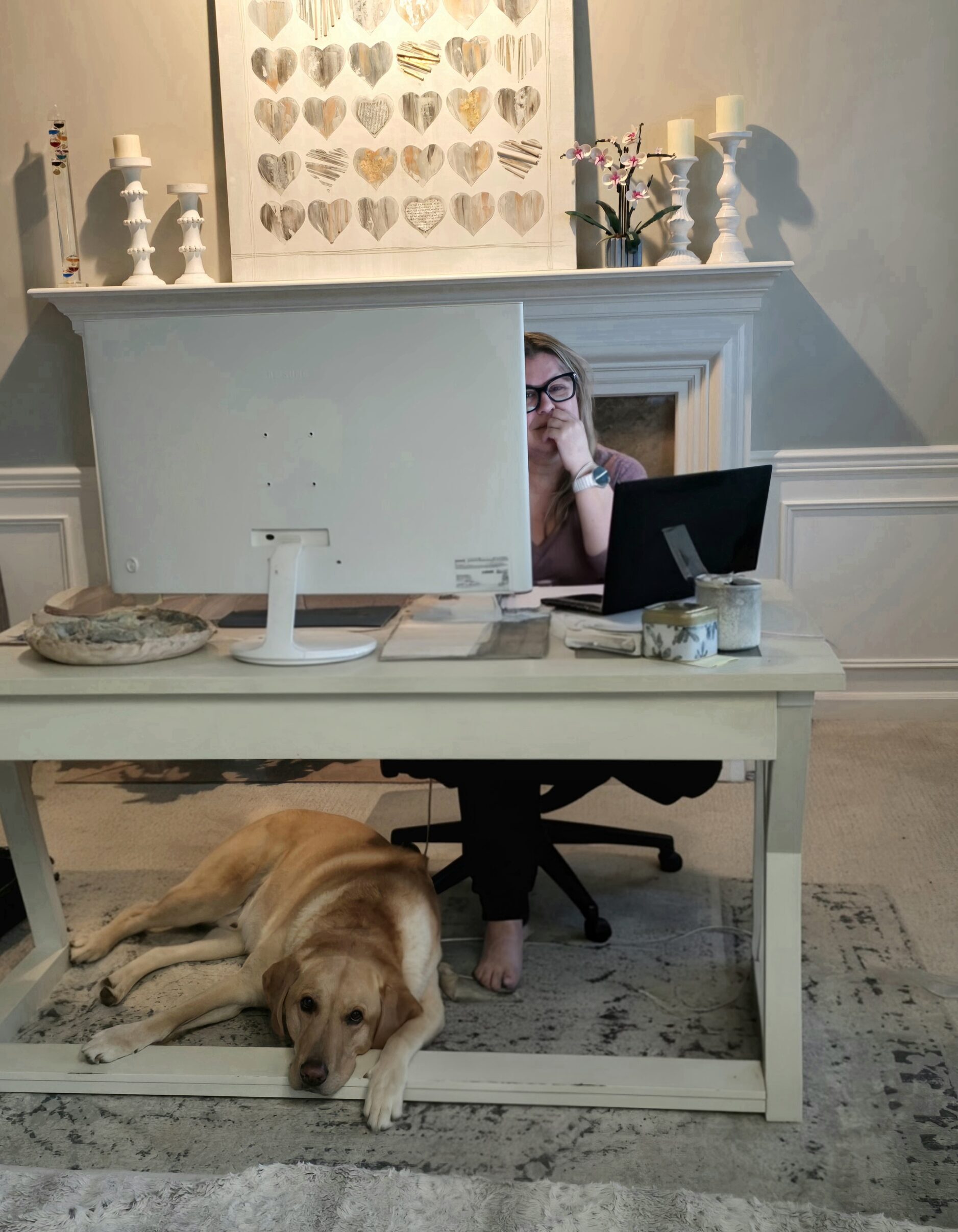 Yellow labrador Boomer at owner's feet representing the natural pet wellness brand story and loyal companionship behind Joyfolk Pets