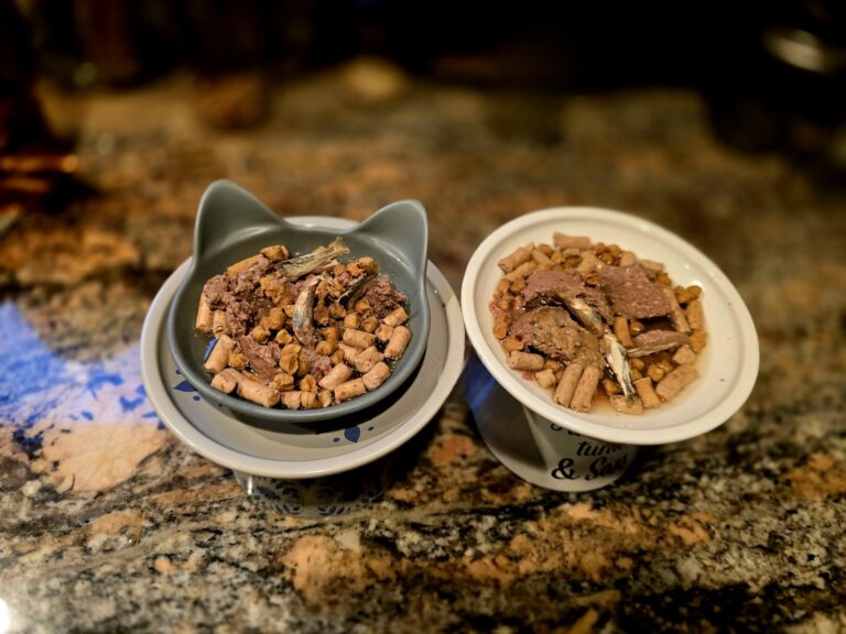 Penelope and Luna prepared cat food bowls with freeze-dried food, wet food, broth and minnow toppers showing shelf-stable cat feeding variety
