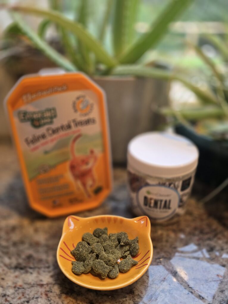 Cat dental care products including powder supplement and crunchy treats with kitten dish containing dental chews