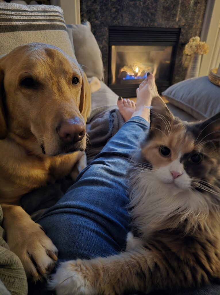 Winter wellness for dogs and cats as a dog and cat rest together near a fireplace