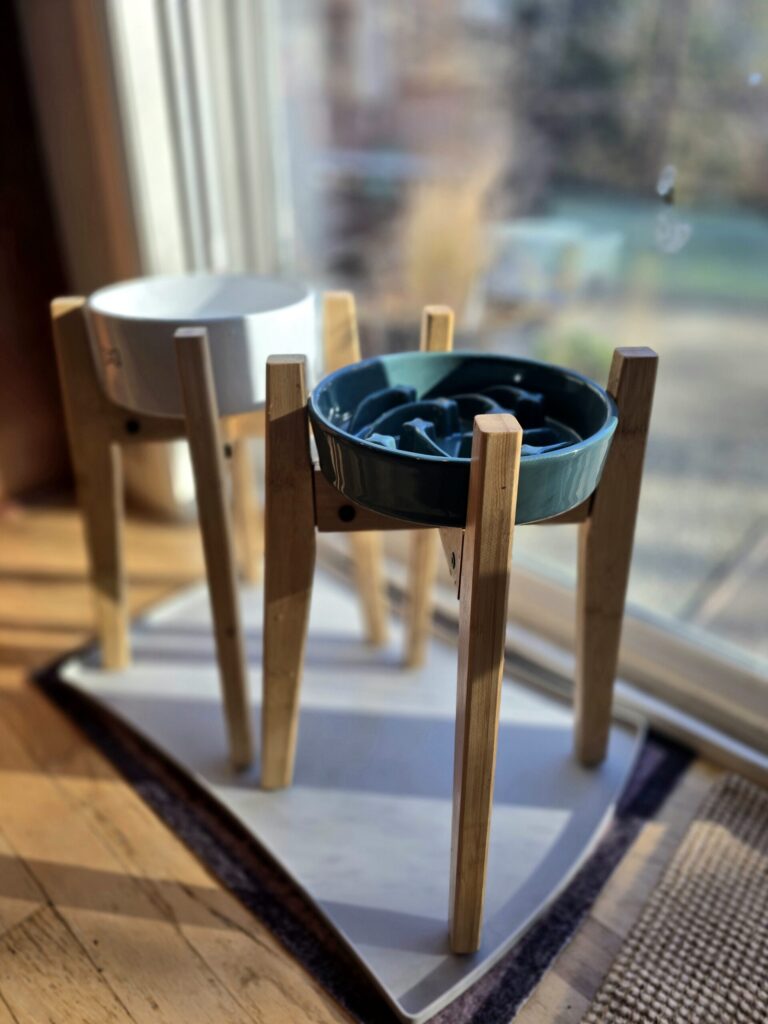 Ceramic dog food and water bowls on a raised stand, used instead of plastic for safer, cleaner feeding.