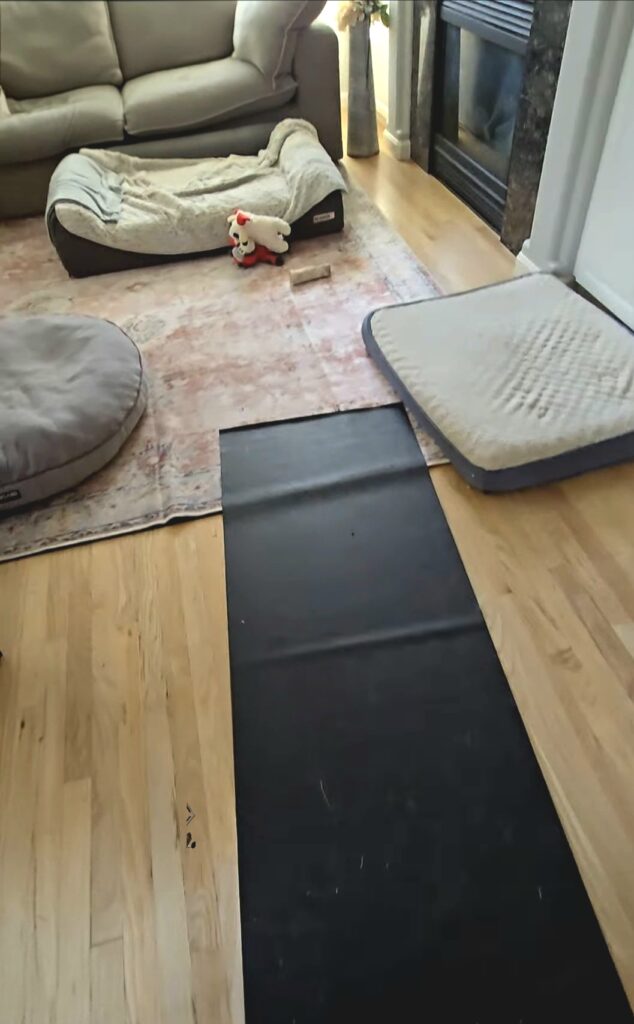 Non-slip yoga mats and multiple orthopedic dog beds arranged in one room as part of TPLO recovery essentials to create a safe, contained healing space.
