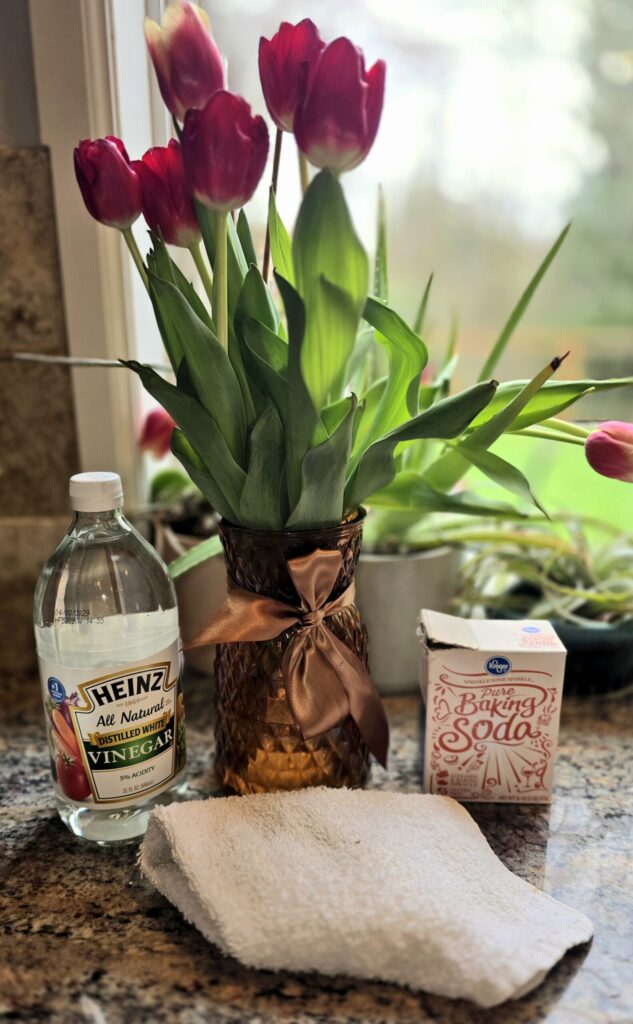 vinegar and baking soda used for pet safe spring cleaning on a kitchen counter