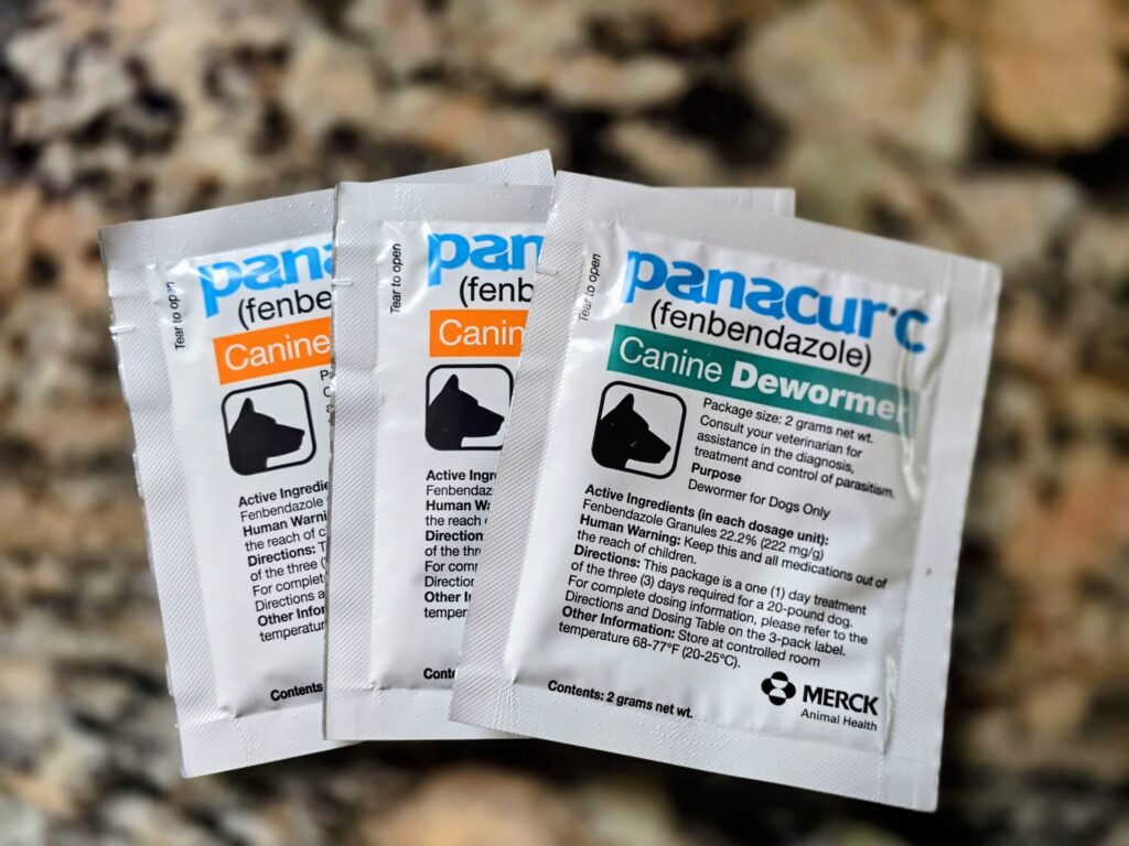 Panacur treatment used for Giardia in dogs after exposure from drinking contaminated water