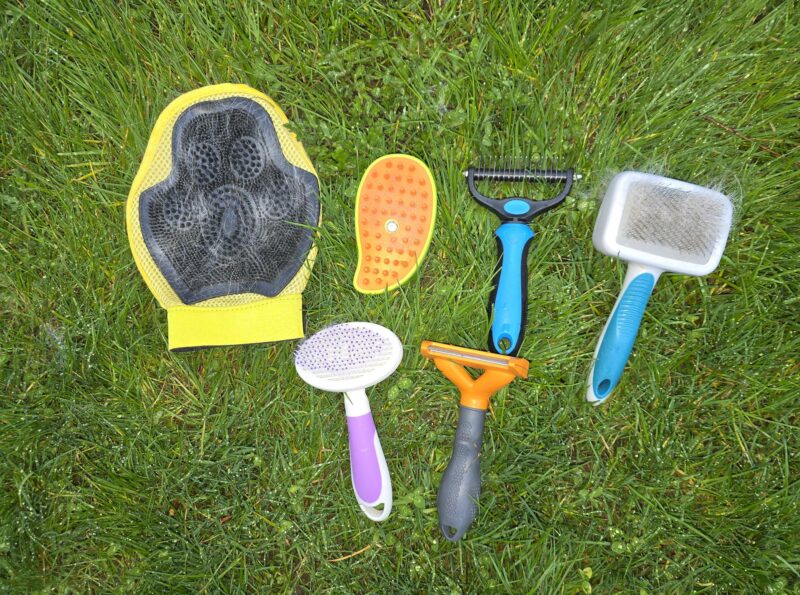 spring dog grooming tools for managing shedding and coat care