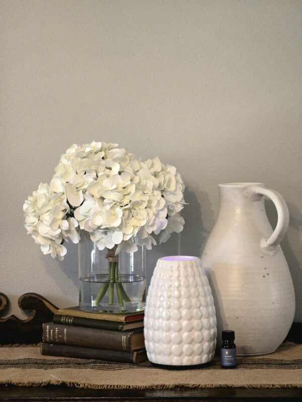 essential oil diffuser in a home environment around cats