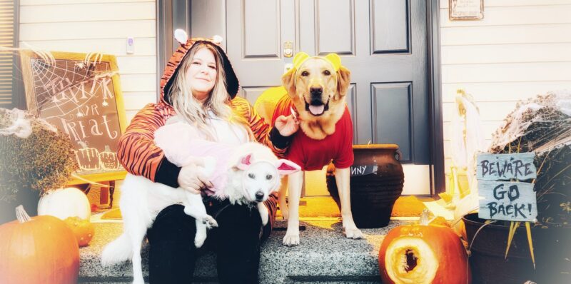 Winnie the Pooh, Tigger and Piglet dog and owner Halloween costumes