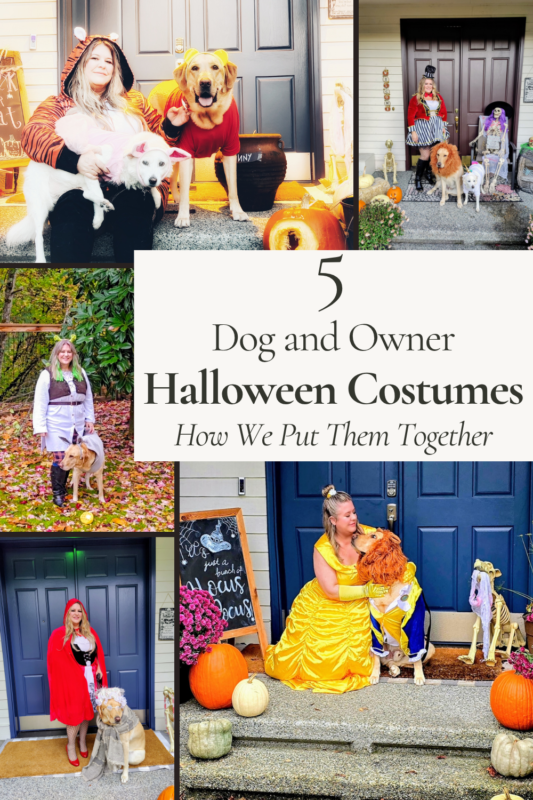 Five matching dog and owner Halloween costumes featuring a yellow Labrador as Lion, Grandma Wolf, Winnie the Pooh, Beast and Donkey.