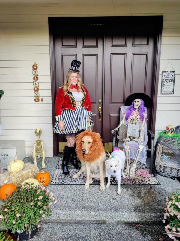 Lion tamer, lion and unicorn dog and owner Halloween costumes