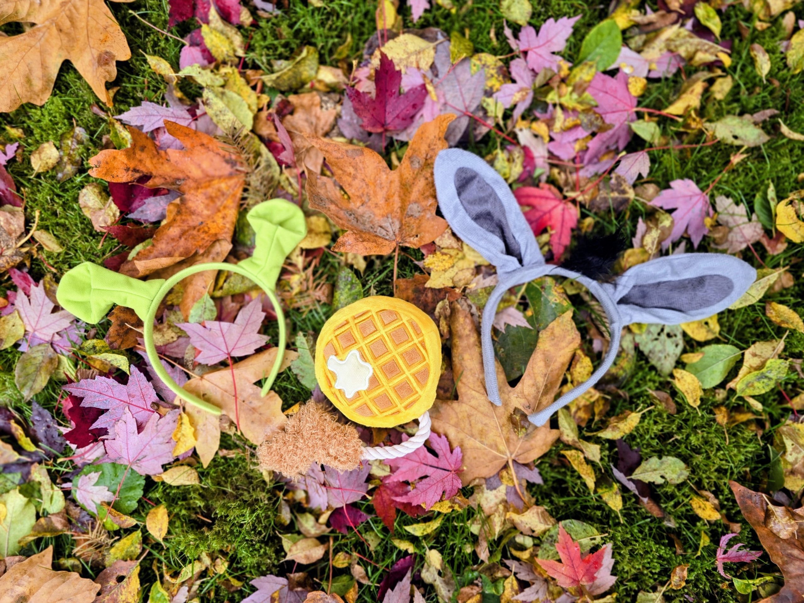 Shrek and Donkey costume ears arranged on colorful fall leaves.